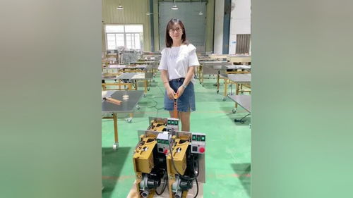 無塵子母鋸 推臺鋸 木工臺鋸 封邊機 無刷電機 木工鋸臺 折疊推臺鋸 質(zhì)量杠杠的好 總有一款適合你
